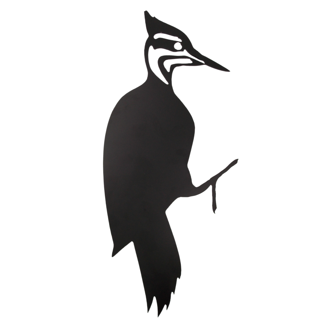 Woodpecker